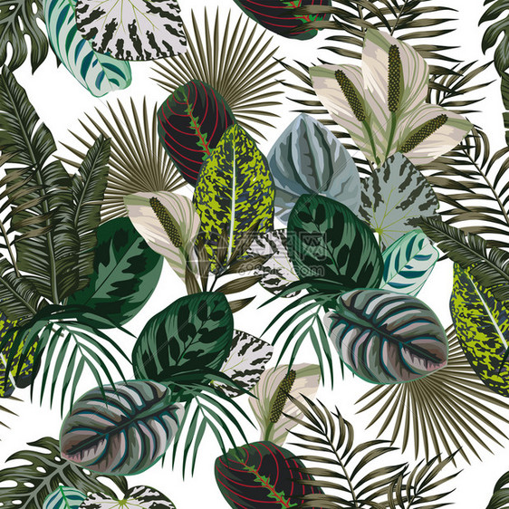开花打印抽象的丛林模式让花朵留下深绿色计划白背景无缝的沙滩海矢量趋势图解热带壁纸图片