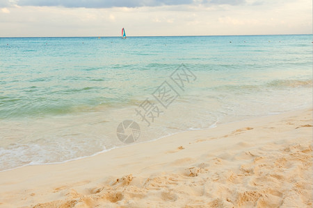 景观奥尔洛夫树加勒比海滩的景象图片