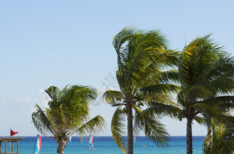 夏天加勒比海滩的景象冷静户外图片