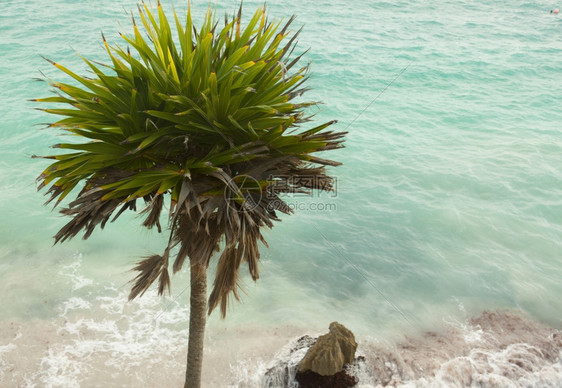 岛海景加勒比滩的景象洋图片