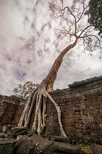 老的历史佛教古代普拉萨特雷哈汗寺庙柬埔寨西姆收获图片