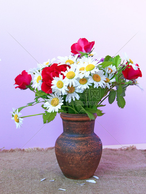 夏天白色的花朵和粘土锅中的红玫瑰是用薄膜底染色热辣椒在锅里喷出花朵用桌边瓶中喷出红玫瑰用薄饼底查莫米莱斯和桌上花瓶里的红玫瑰草本图片
