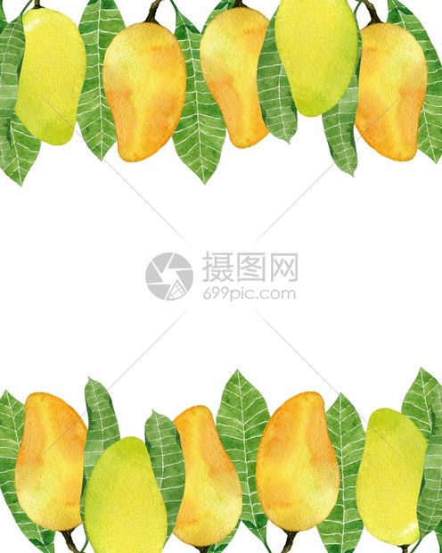 食物颜色健康彩背景与水芒果框隔离在白色背景上手绘插图为您的设计彩色背景与水芒果框图片