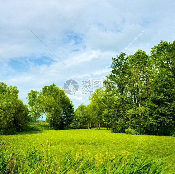 草地和完美的天空白俄罗斯农村丰富多彩的图片