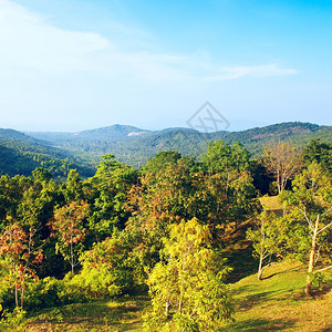 美丽的热带风景高角度视图泰国苏梅高的采取背景图片