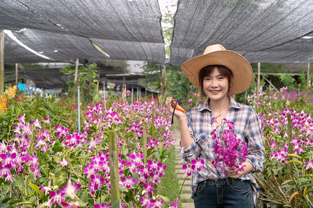 放松丰富多彩的保持园丁安排了兰花园拿着剪刀切树枝还有兰花图片