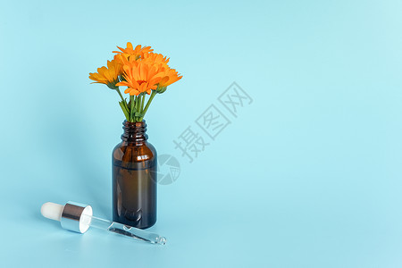 草本花的颜色开放棕滴管瓶中的精油带有躺着的玻璃吸管和蓝色背景的橙花金盏图片