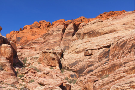 奥尔洛夫仙人掌巨石观察Mojave沙漠红岩峡谷的干地和红岩形成情况图片
