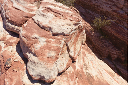 砂岩观察Mojave沙漠红岩峡谷的干地和红岩形成情况多石的约书亚图片