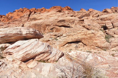 亚利桑那观察Mojave沙漠红岩峡谷的干地和红岩形成情况石植物群图片