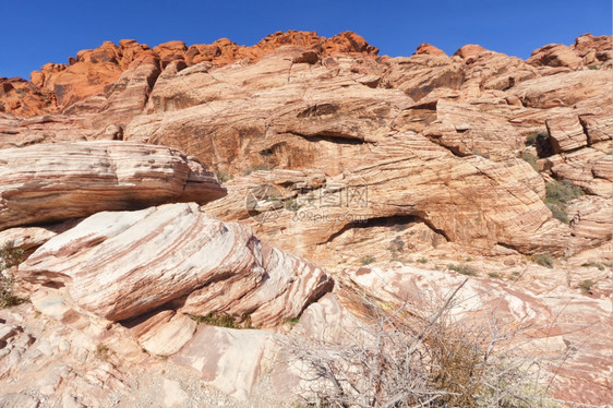 亚利桑那观察Mojave沙漠红岩峡谷的干地和红岩形成情况石植物群图片