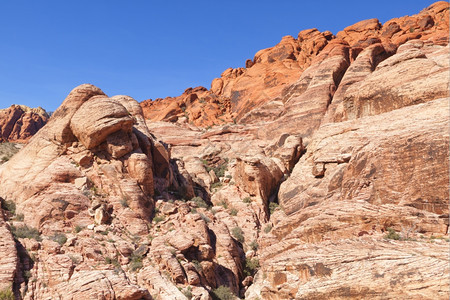 观察Mojave沙漠红岩峡谷的干地和红岩形成情况色的亚利桑那莫哈韦图片