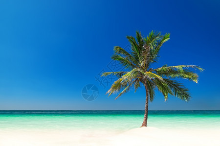 景观波浪热带海滩景色惊人有棕榈树白沙和松绿海浪缅甸旅行目的地为缅甸旅游目地缅甸异国情调图片