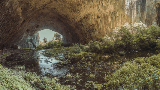 生态系统保加利亚德维塔基村和奥萨姆河附近德维塔什卡洞穴内的全景保加利亚德维塔什卡洞穴衬套草图片