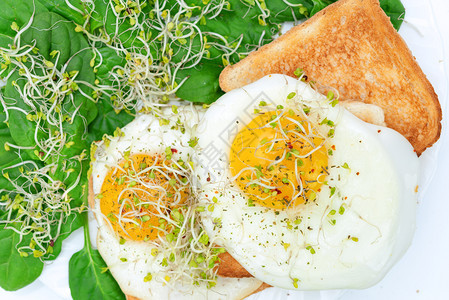 健康饮食概念烤面包上煎鸡蛋端有菠菜和白盘上的年轻小芽可口早午餐蛋黄图片