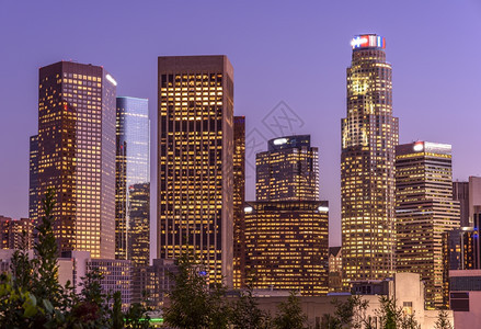 紫色的路晚上在加利福尼亚州洛杉矶市中心摩天大楼树图片