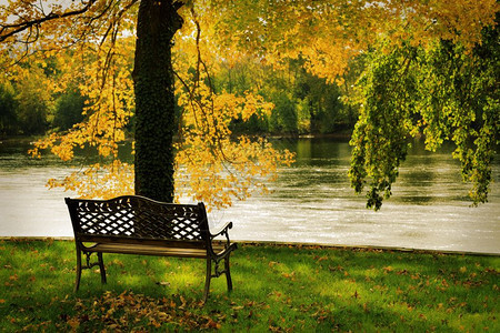 秋天公园里的长椅图片