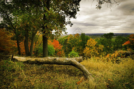 自然充满多彩的秋天风景季节图片