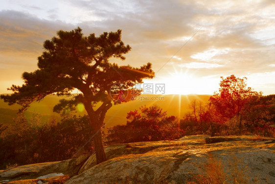 夕阳下秋天风景图片