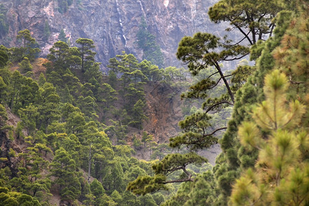 陨石坑荒芜之地生态CalderadeTaburiente公园生物圈保护区拉帕尔马加那利群岛西班牙欧洲图片