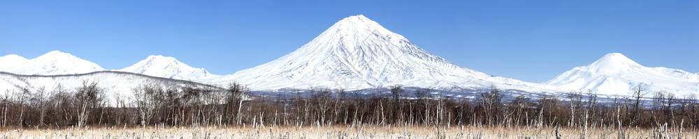 堪察卡半岛群的科里亚斯基火山阿瓦欣斯基火山科日和泽尔斯基火山远的风景生态系统图片