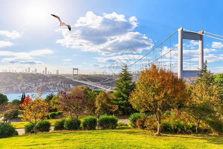 奥塔格佩自然旅行Otagtepe公园阳光明媚的一天土耳其伊斯坦布尔第二博普鲁海峡大桥的景色Otagtepe公园的阳光明媚一天土耳图片