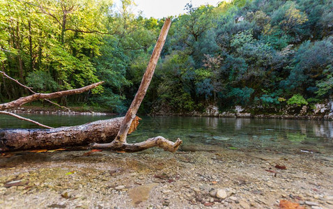 希腊伊庇鲁斯Zagorochoria的Voidomatis河砍树桥旅游峡谷图片