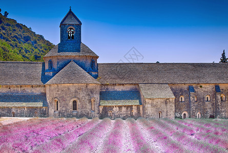 包围法国普罗旺斯塞南克修道院假期阿巴耶图片