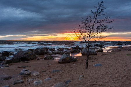 丰富多彩的海岸拉脱维亚波罗的海图贾市哈带有岩石和沙子颜色图片