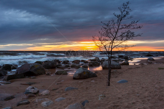 丰富多彩的海岸拉脱维亚波罗的海图贾市哈带有岩石和沙子颜色图片