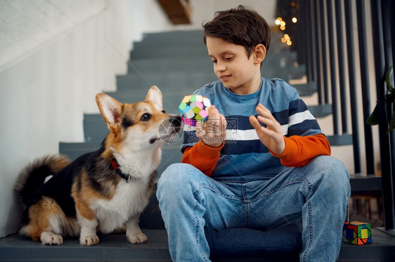 孩子和他的狗玩游戏拼谜方块具以进行大脑和逻辑心智培训创造游戏解决复杂问题玩游戏脚步童年创造力图片