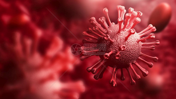 人体背景的CoronaCOVID19科学和微观生物概念Corona爆发流行医学和毒感染研究3D例举三D血液微生物学非典图片