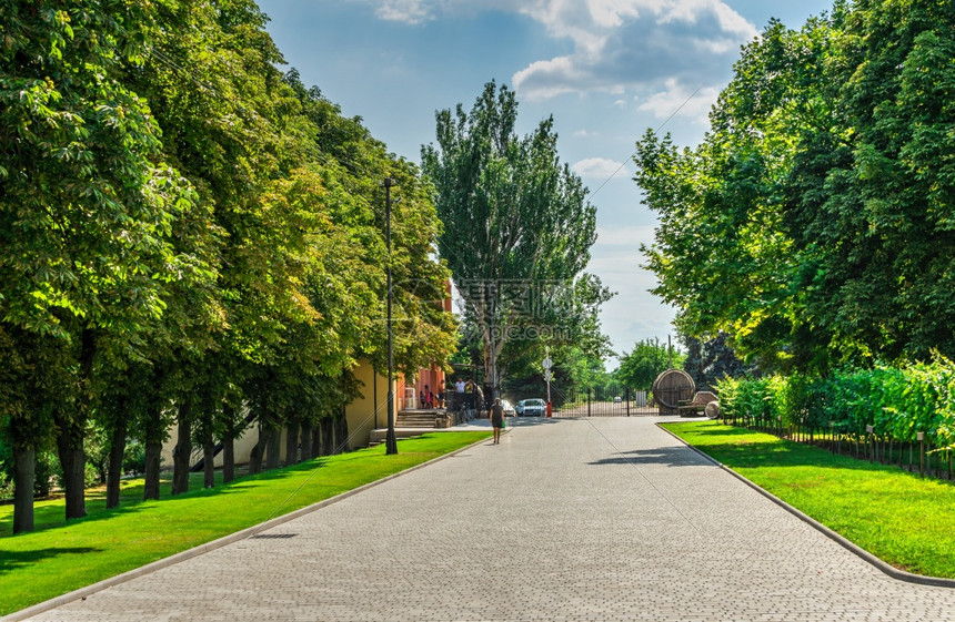 特鲁贝托科伊王子城堡的公园在乌克兰特鲁贝托斯科伊亲王堡垒的一个阳光明媚暑假公园欧洲历史旅行图片