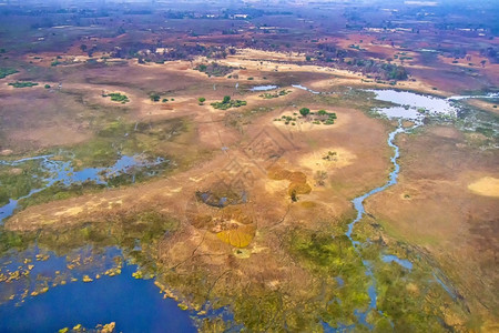 观察奥卡万戈湿地三角洲教科文组织世界遗产地点拉姆萨尔韦特兰博茨瓦纳非洲新鲜的自由图片