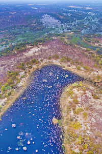 奥卡万戈湿地三角洲教科文组织世界遗产地点拉姆萨尔韦特兰博茨瓦纳非洲生态旅游美丽的自由图片