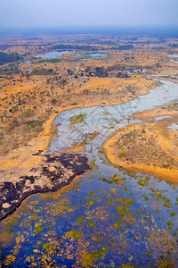 奥卡万戈湿地三角洲教科文组织世界遗产地点拉姆萨尔韦特兰博茨瓦纳非洲生物群落多样自然图片