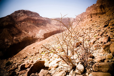 201年4月选择滚动历史的红色以列内盖夫沙漠和山图片