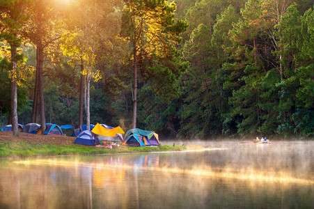 清晨湖边雾中的野营帐篷群图片