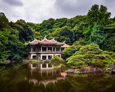 日本东京新久国良家花园日本东京夏天城市的图片