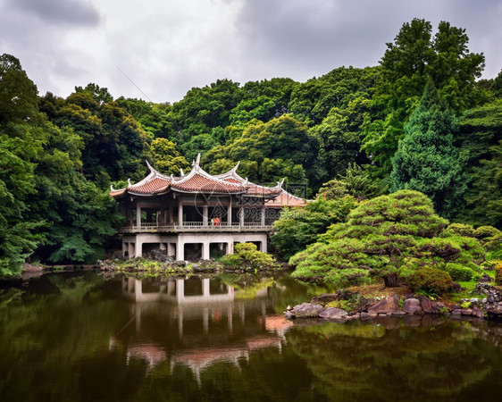 日本东京新久国良家花园日本东京夏天城市的图片