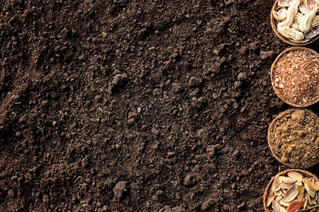 胡壳干叶木屑肥料埋在松散的土壤上有机新鲜植物图片