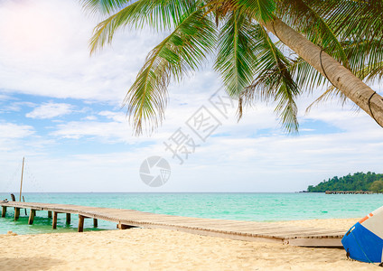 沿海环境梦美丽的热带天堂海滩Coconut度假胜地的Coconut树木桥和在阳光明媚的暑假度村的皮艇图片