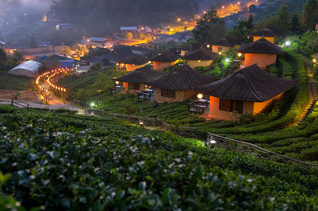 建筑物浪漫的清晨茶叶种植园居民点BanRakThaiMadeHongSon泰国北部省MeeSon墙纸图片