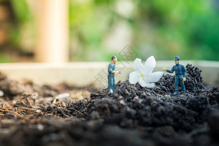 灌封幼苗数字微型人员团队为绿色世界项目检查和植树我们为更美好的世界植树图片