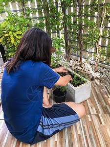 年轻的亚洲妇女正在水泥锅里植树手伸到城市小屋的花园里种植发芽抓住为了图片