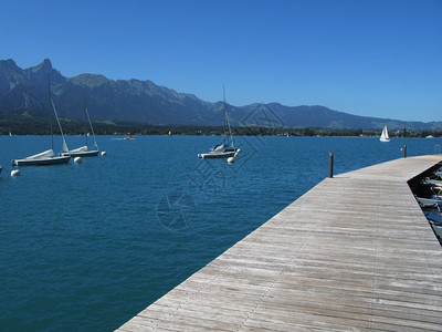 木林码头对瑞士通湖和阿尔卑斯山浪漫的海洋图片