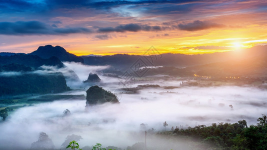 日落清晨在泰国PhayaoPhuLangKa的薄雾中升起森林深的图片