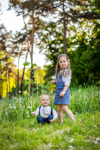 公园快乐的小弟和妹坐在一个有毛发白花朵的角地上春天小弟和妹坐在一头有毛白色花朵的角地上女孩图片