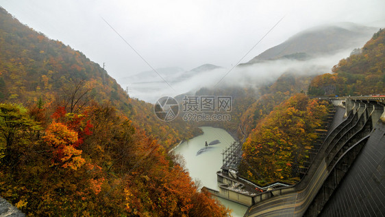 水库大坝下的秋色风光图片