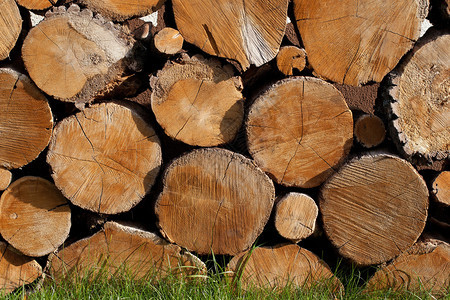 松树材料为夏天准备的一堆切好柴火准备一堆切柴火树干图片